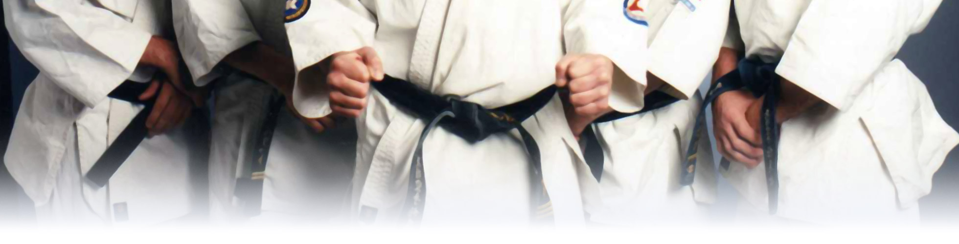 Dunmow karate main image
